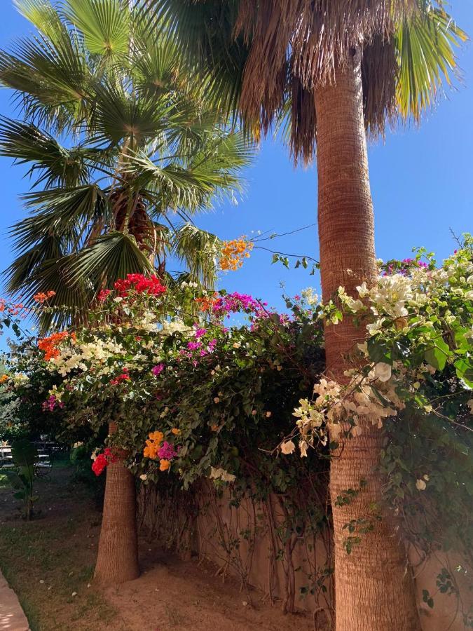 Les Terrasses Du Lac Marrakech Lalla Takerkoust ภายนอก รูปภาพ